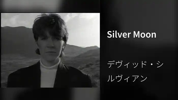 Silver Moon