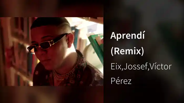 Aprendí (Remix)