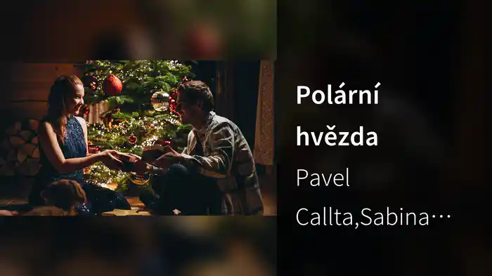 Polární hvězda