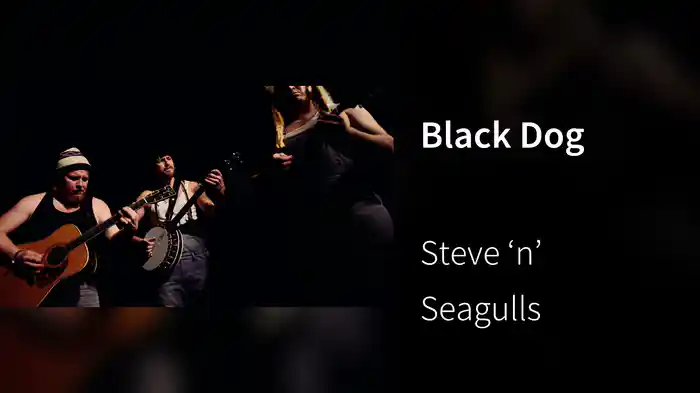 Black Dog
