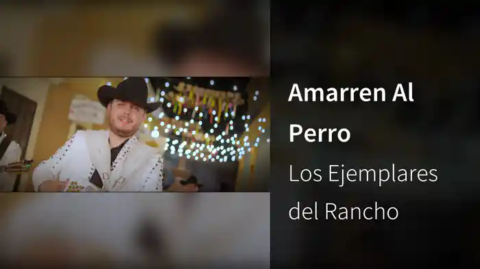 Amarren Al Perro