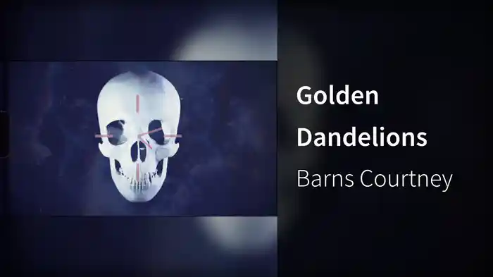 Golden Dandelions