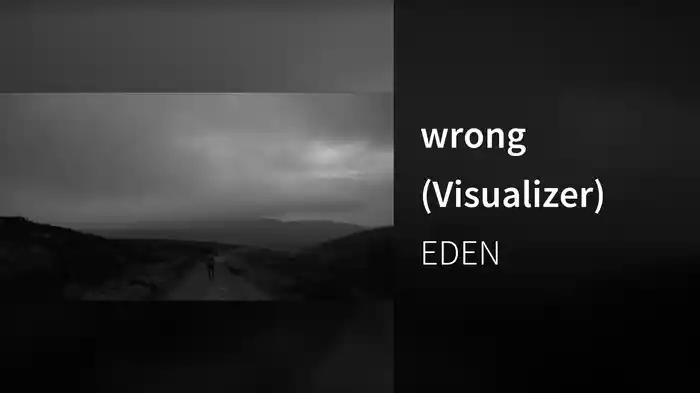 wrong (Visualizer)