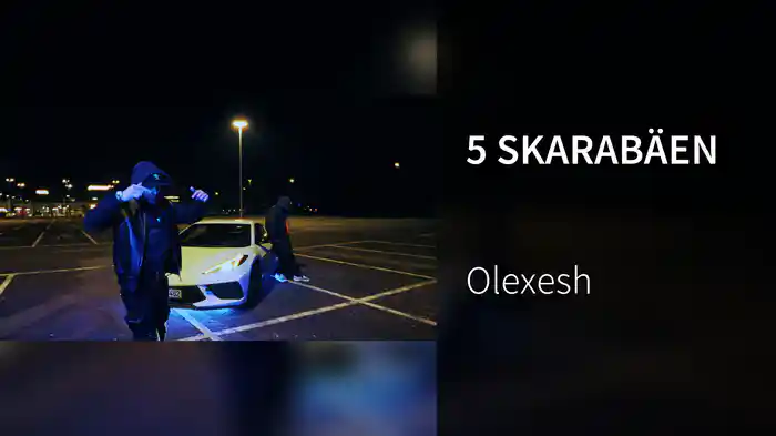 5 SKARABÄEN