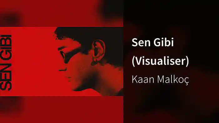 Sen Gibi (Visualiser)