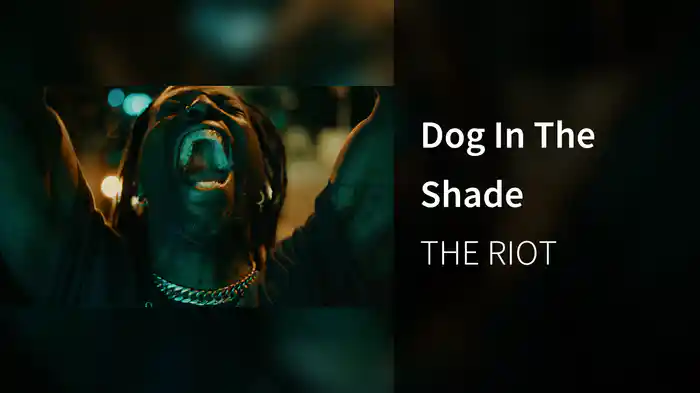 Dog In The Shade