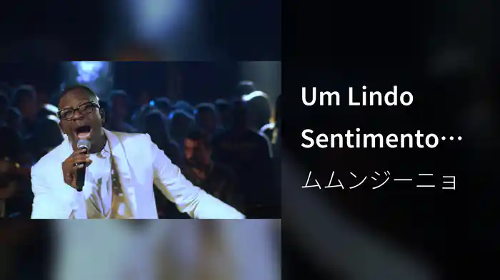 Um Lindo Sentimento (Ao Vivo)