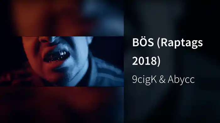 BÖS (Raptags 2018)
