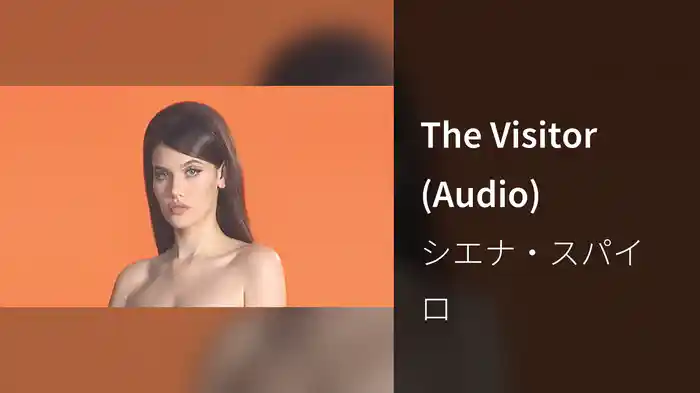 The Visitor (Audio)