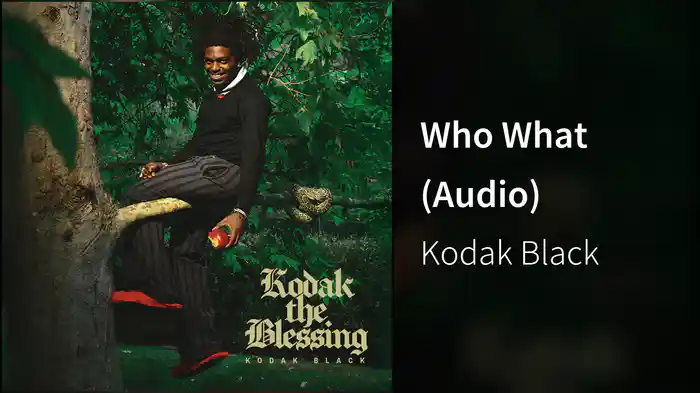 Who What (Audio)