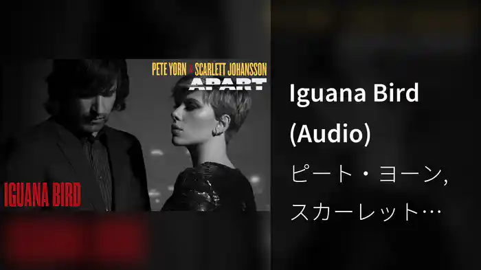 Iguana Bird (Audio)