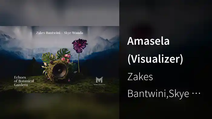 Amasela (Visualizer)