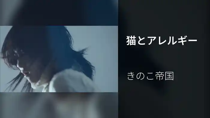 猫とアレルギー