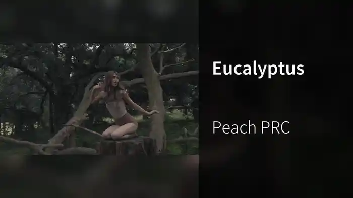 Eucalyptus