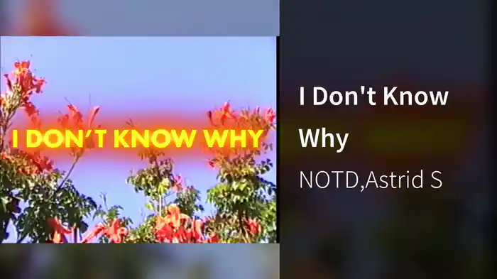 I Don't Know Why