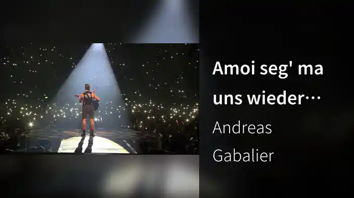 Amoi seg' ma uns wieder (Lyric Video)