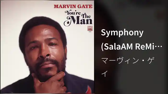 Symphony (SalaAM ReMi Mix)