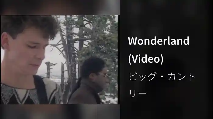 Wonderland (Video)