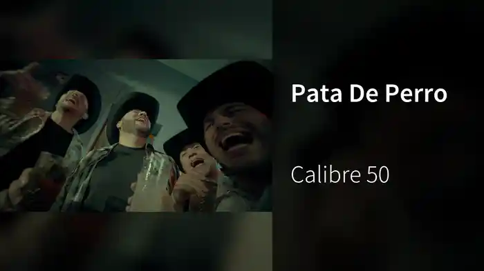 Pata De Perro