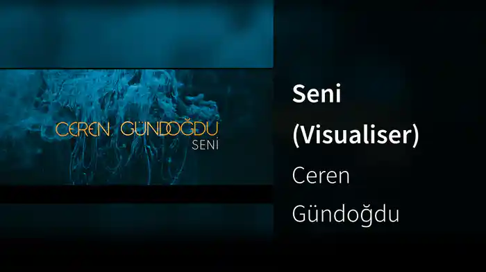 Seni (Visualiser)