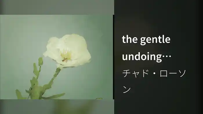 the gentle undoing (Visualizer)