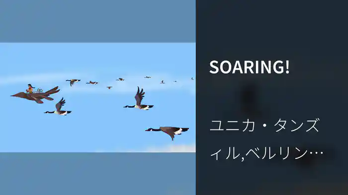 SOARING!