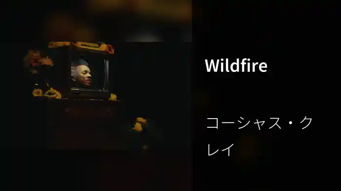 Wildfire