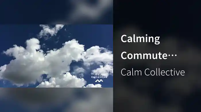 Calming Commute (Visualiser)