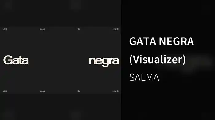 GATA NEGRA (Visualizer)