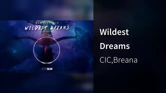 Wildest Dreams