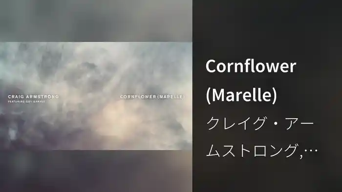 Cornflower (Marelle)