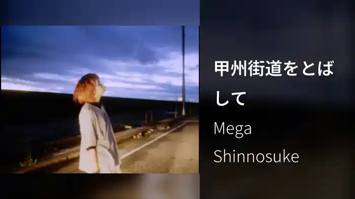 甲州街道をとばして