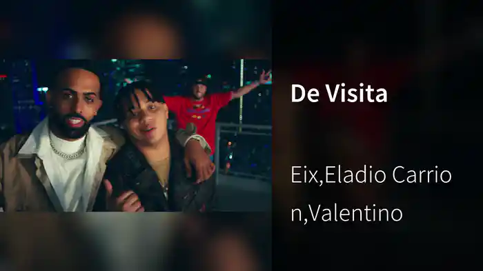 De Visita