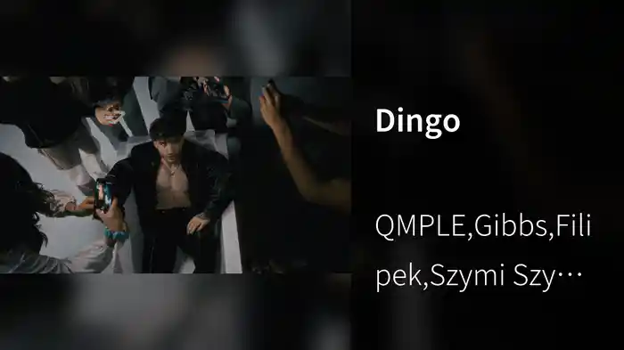 Dingo
