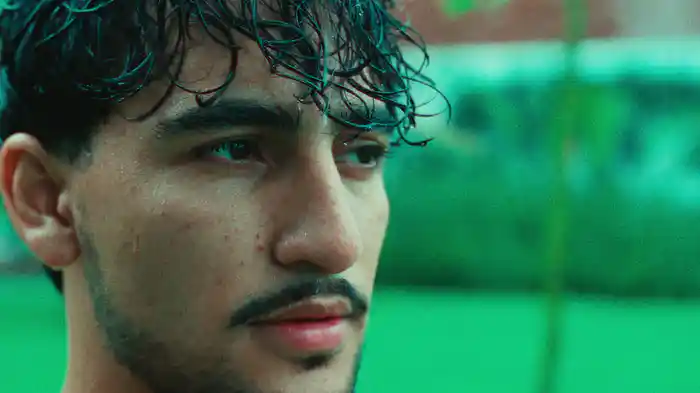 Sentimientos De Cartón