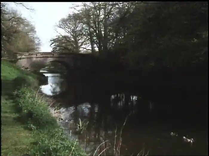 Tchaikovsky: Waltz (Serenade for Strings)