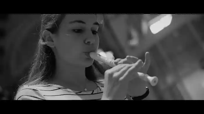 Vivaldi: Concerto For Violin And Strings in E, Op.8, No.1, RV 269 "La Primavera" - Arr. for Recorder - 1: Allegro