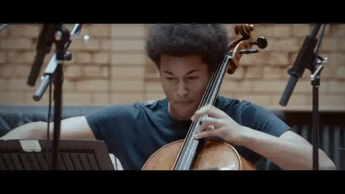 サン=サーンス: 白鳥（チェロ、ハープ&アンサンブル版）