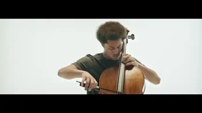 サン=サーンス: 白鳥（チェロ、ハープ&アンサンブル版）