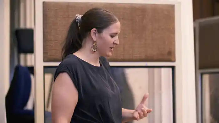 Wagner: Wesendonck Lieder, WWV 91: No. 4, Schmerzen (Orch. Mottl)