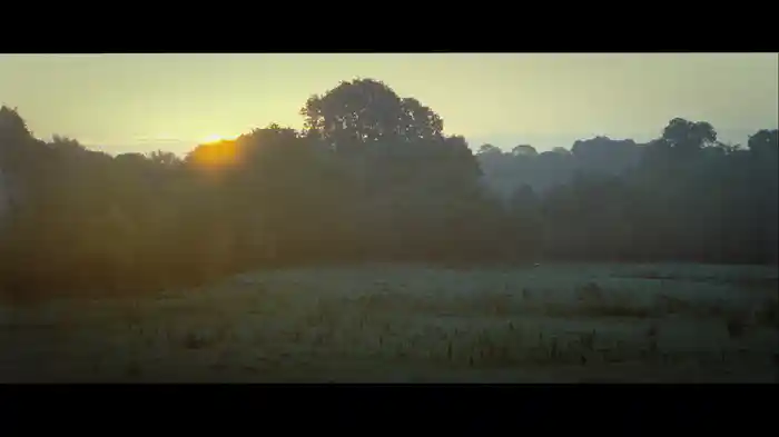 Dawn (From "Pride & Prejudice" Soundtrack)