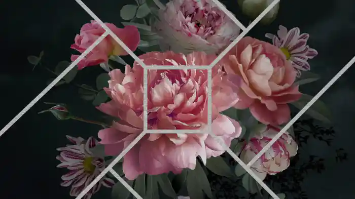 Nocturne (Visualizer)