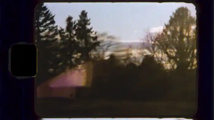 Experience (Visualiser)