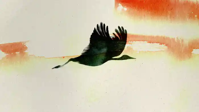 A Hundred Thousand Birds (Visualizer)