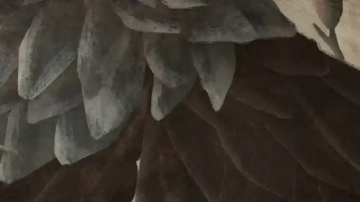 Flocks A Mile Wide (Visualizer)