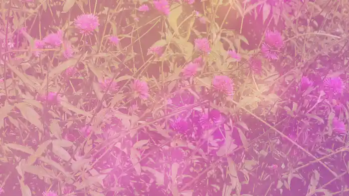 the color of the sky (Visualizer)