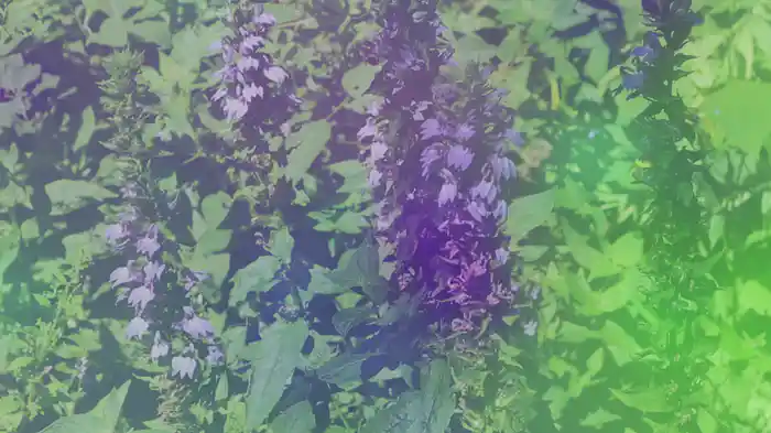 to hold the stars in the palm of your hand (Visualizer)