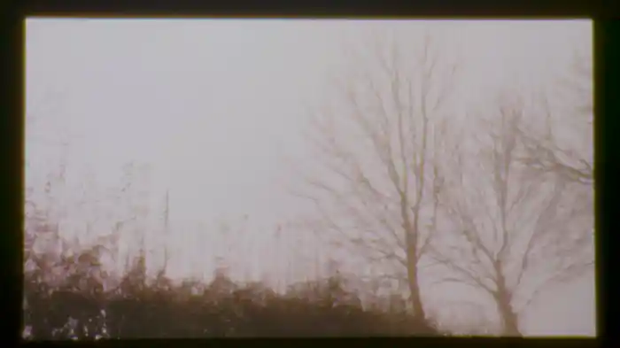 Password (Visualiser)