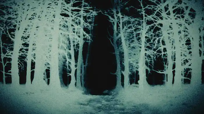 WEREWOLF (Lyric Video)