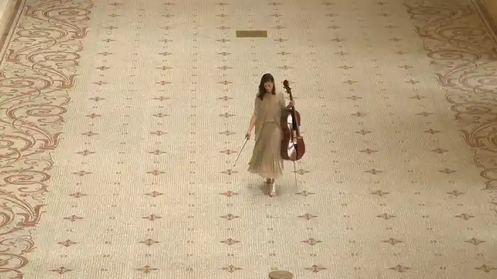Donizetti: L'elisir d'amore: "Una furtiva lagrima" (Adapt. For Cello And Orchestra) (At Musée des Arts Décoratifs)